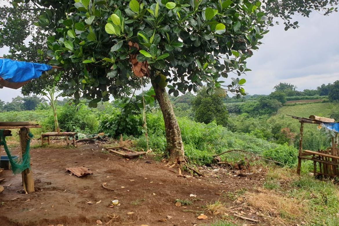 Land for Sale in Nangka, Libona, Bukidnon – photo 2