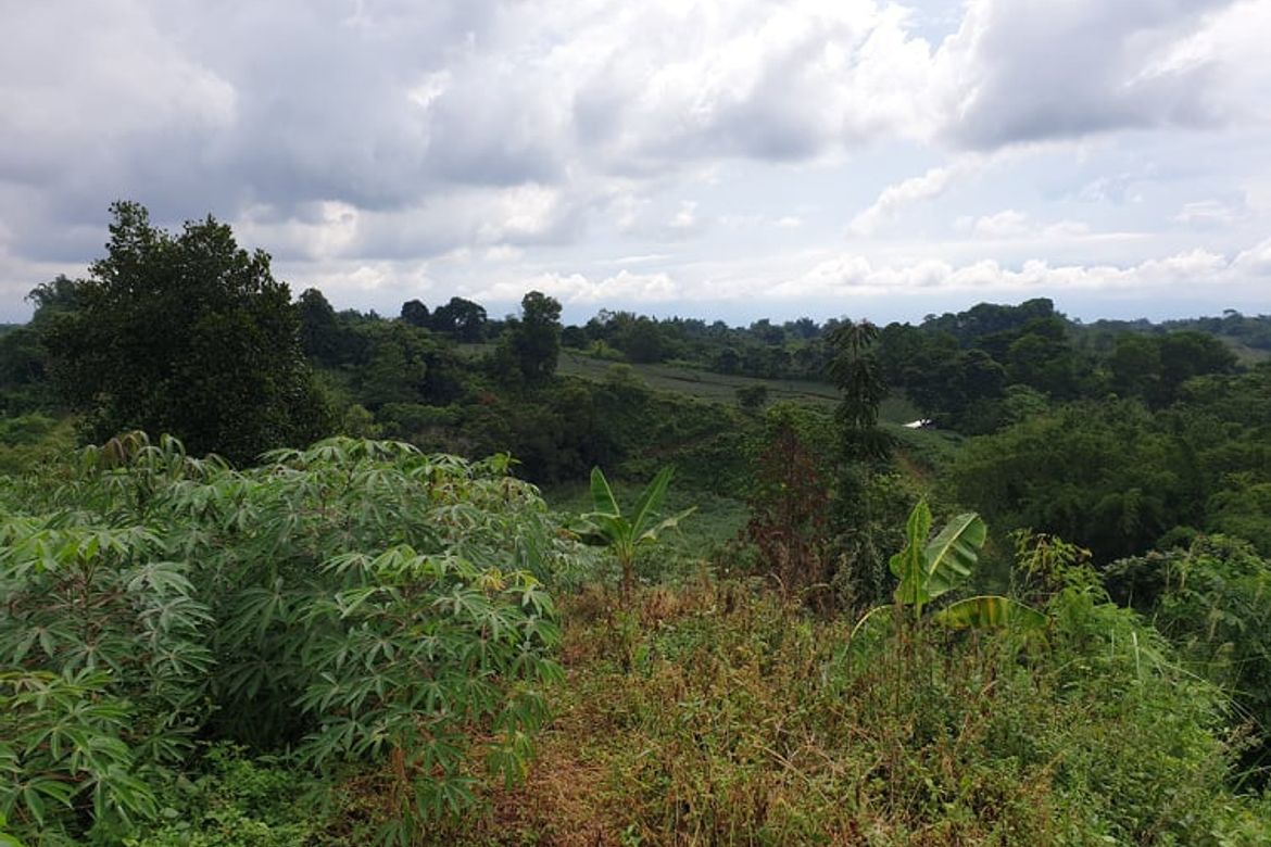 Land for Sale in Nangka, Libona, Bukidnon – photo 4