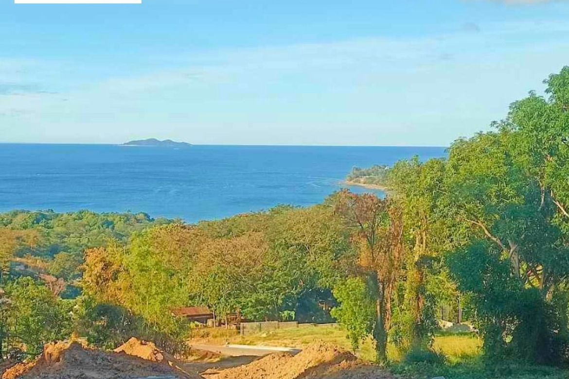 Land for Sale in Natipuan, Nasugbu, Batangas – photo 5