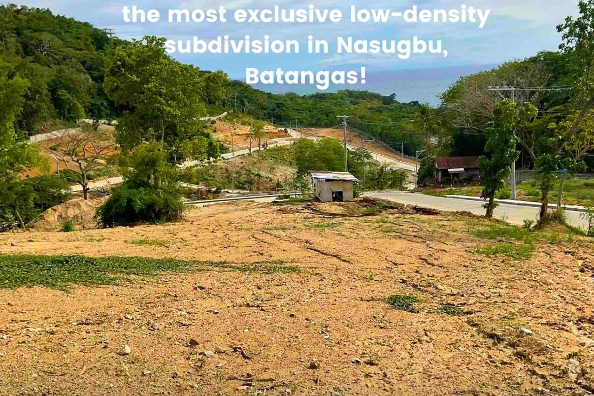 Land for Sale in Natipuan, Nasugbu, Batangas – photo 7