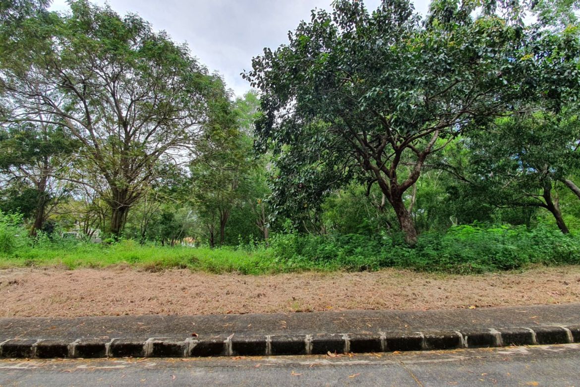 Land for Sale in Natipuan, Nasugbu, Batangas – photo 2