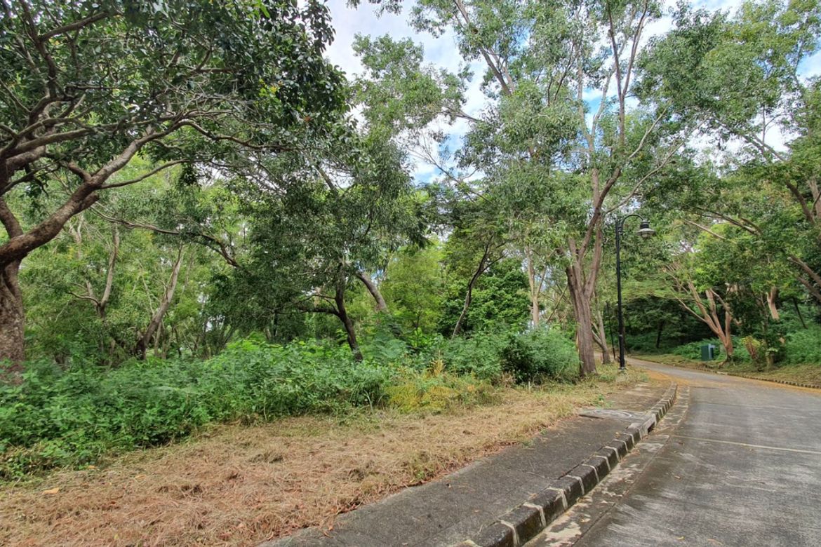 Land for Sale in Natipuan, Nasugbu, Batangas – photo 3
