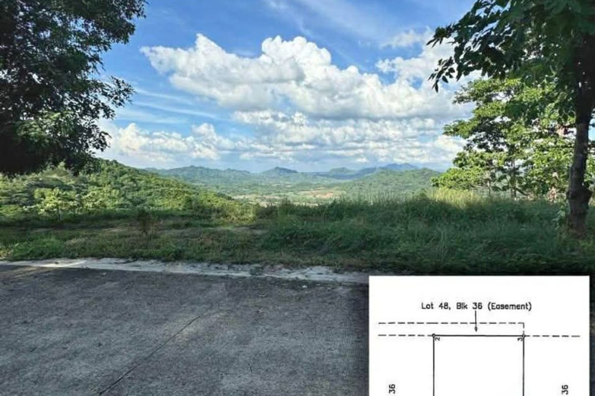 Land for Sale in Natipuan, Nasugbu, Batangas