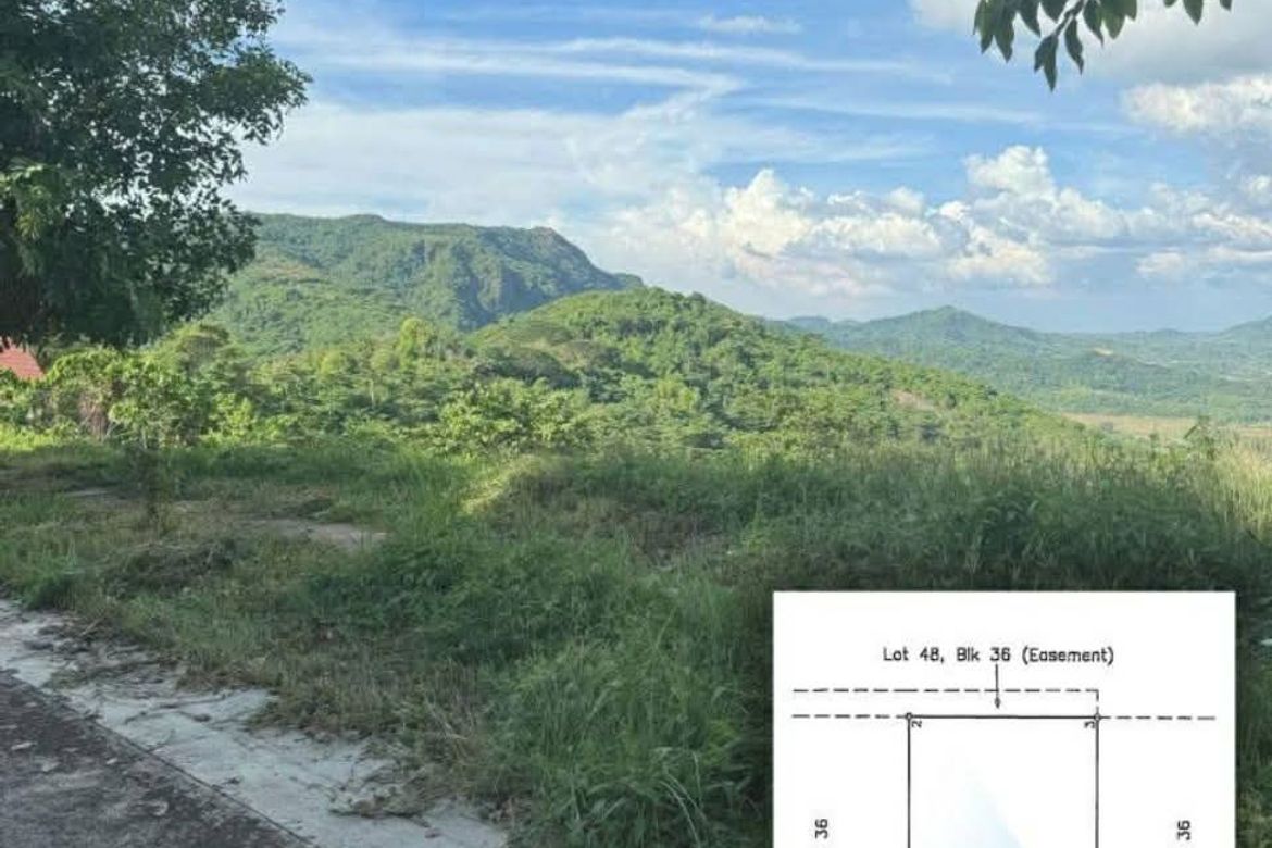 Land for Sale in Natipuan, Nasugbu, Batangas – photo 2