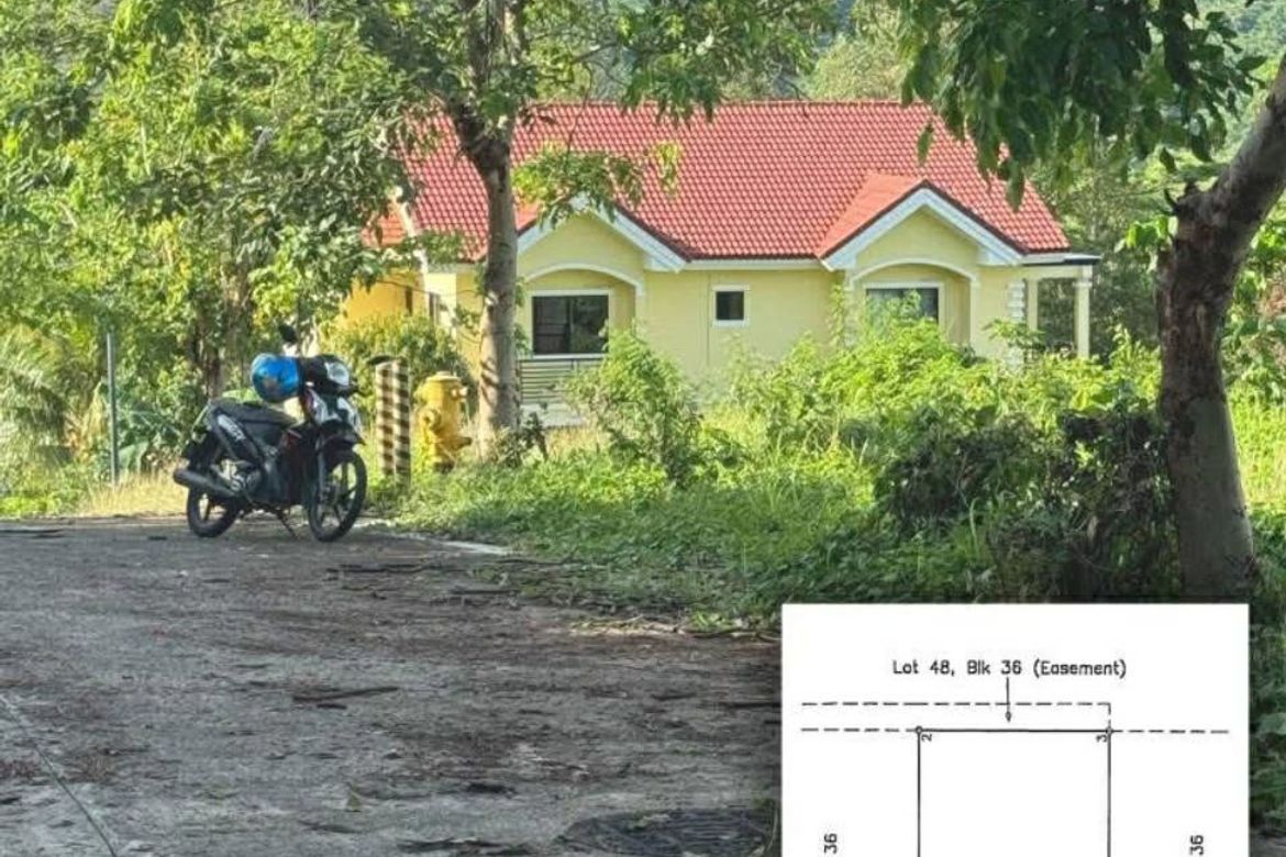 Land for Sale in Natipuan, Nasugbu, Batangas – photo 4
