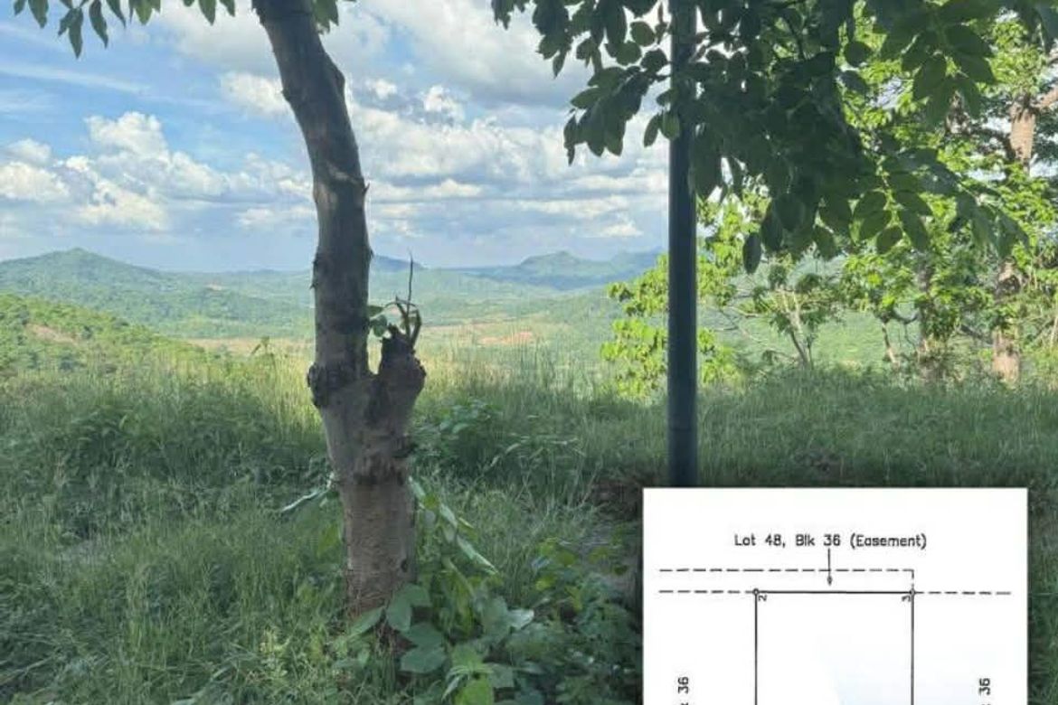 Land for Sale in Natipuan, Nasugbu, Batangas – photo 6