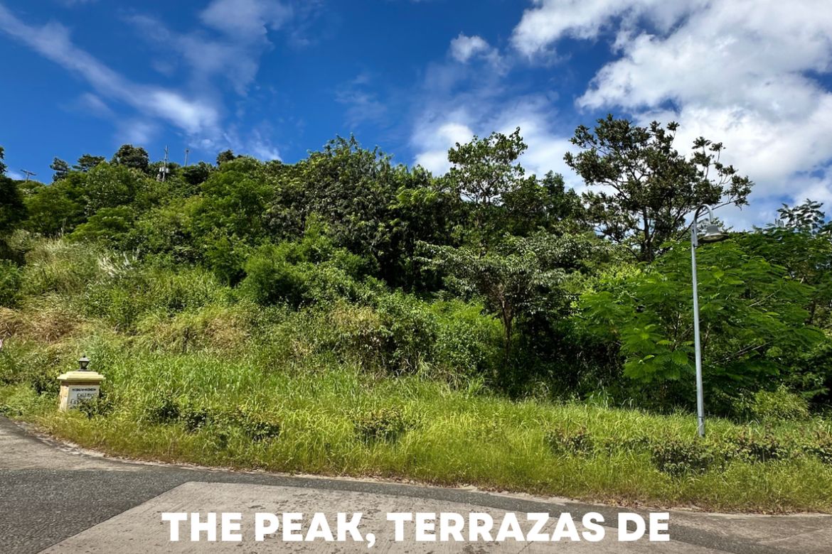 Land for Sale in Natipuan, Nasugbu, Batangas