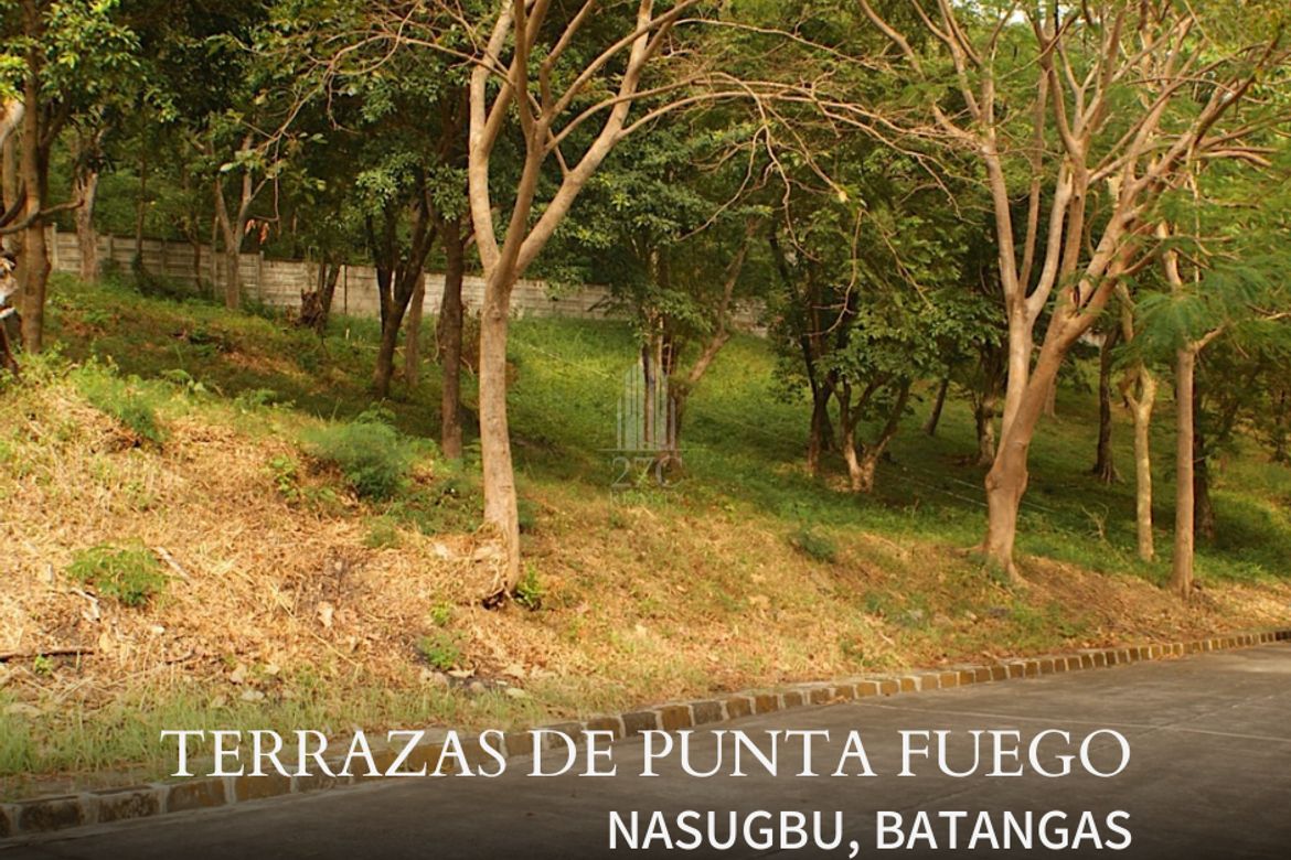 Land for Sale in Natipuan, Nasugbu, Batangas
