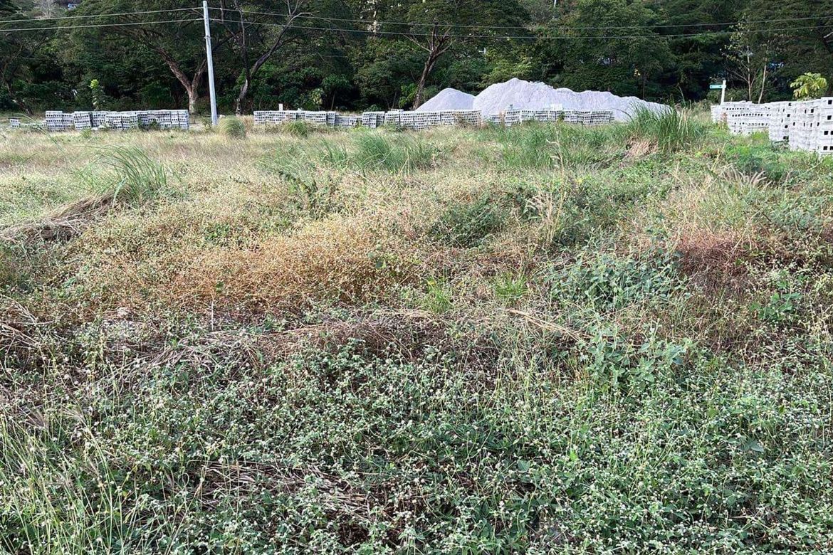 Land for Sale in Natipuan, Nasugbu, Batangas – photo 5