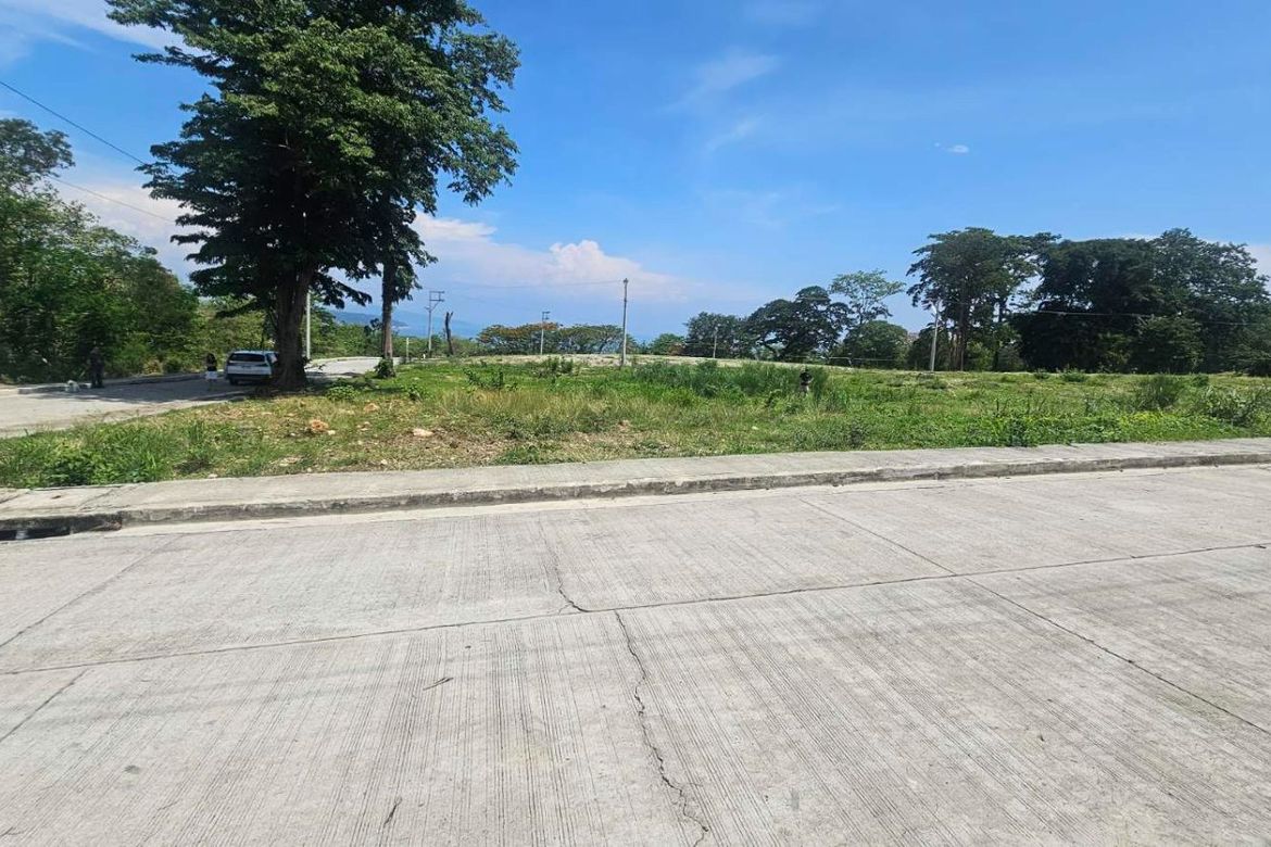 Land for Sale in Natipuan, Nasugbu, Batangas – photo 5