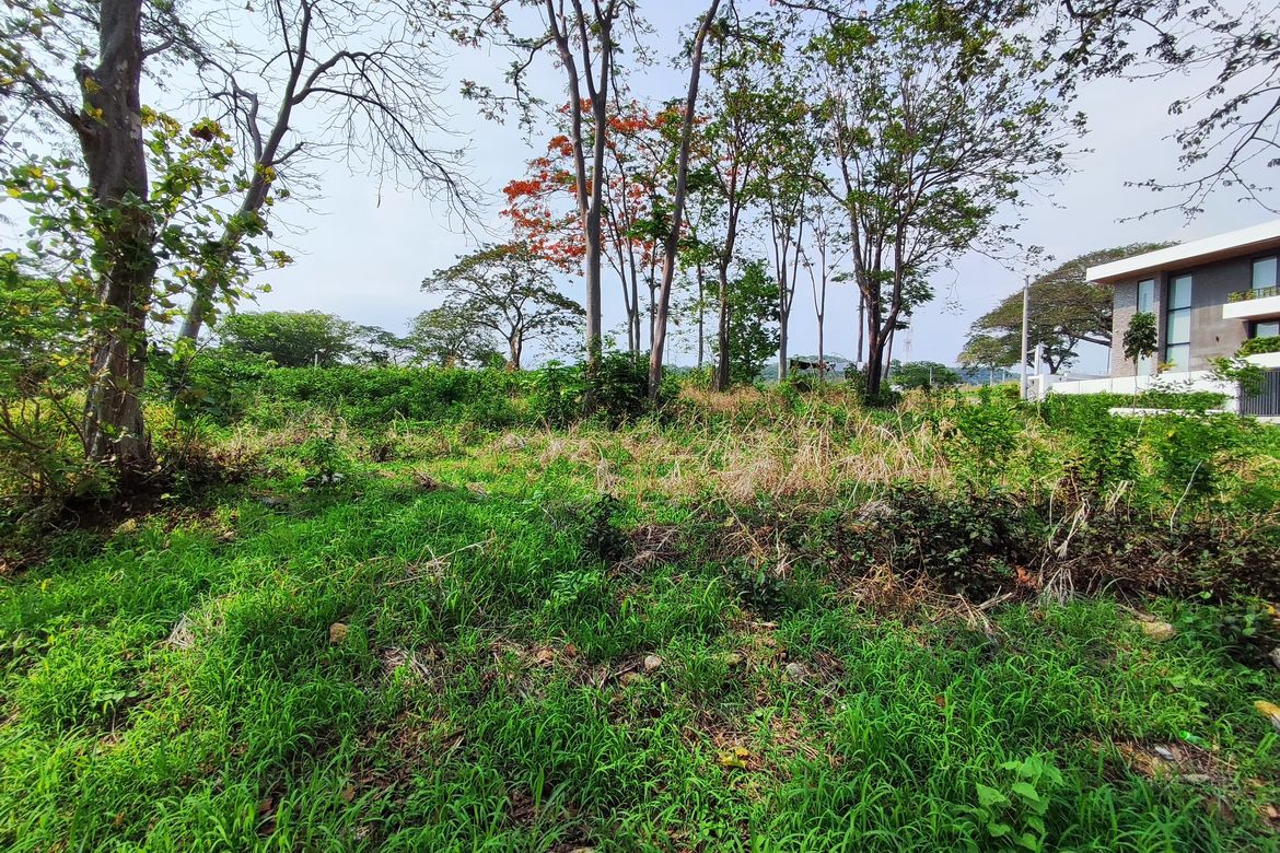 Land for Sale in Natipuan, Nasugbu, Batangas – photo 7