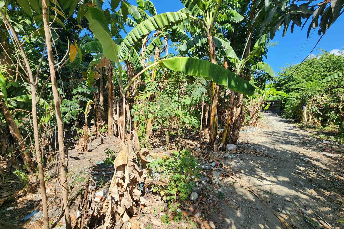 Land for Sale in Navarro, General Trias, Cavite – photo 3