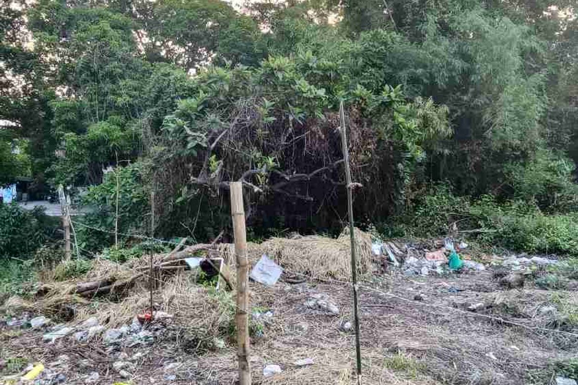 Land for Sale in Navarro, General Trias, Cavite – photo 2