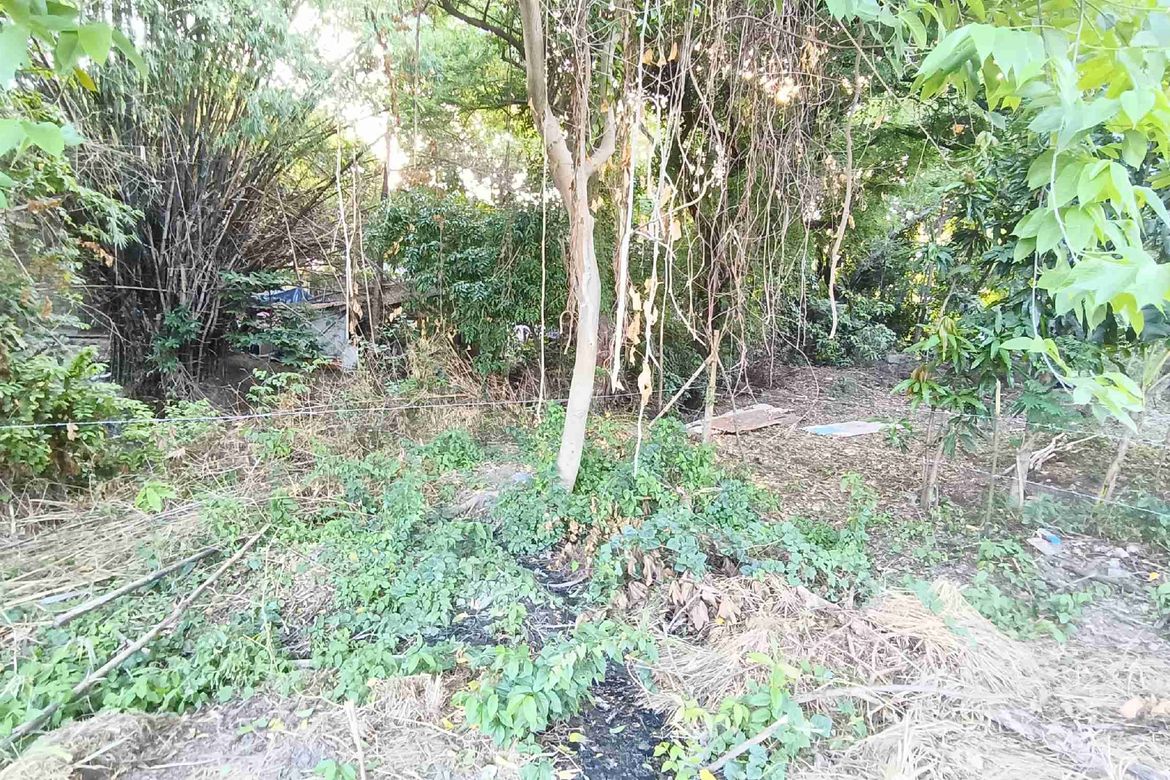 Land for Sale in Navarro, General Trias, Cavite – photo 4