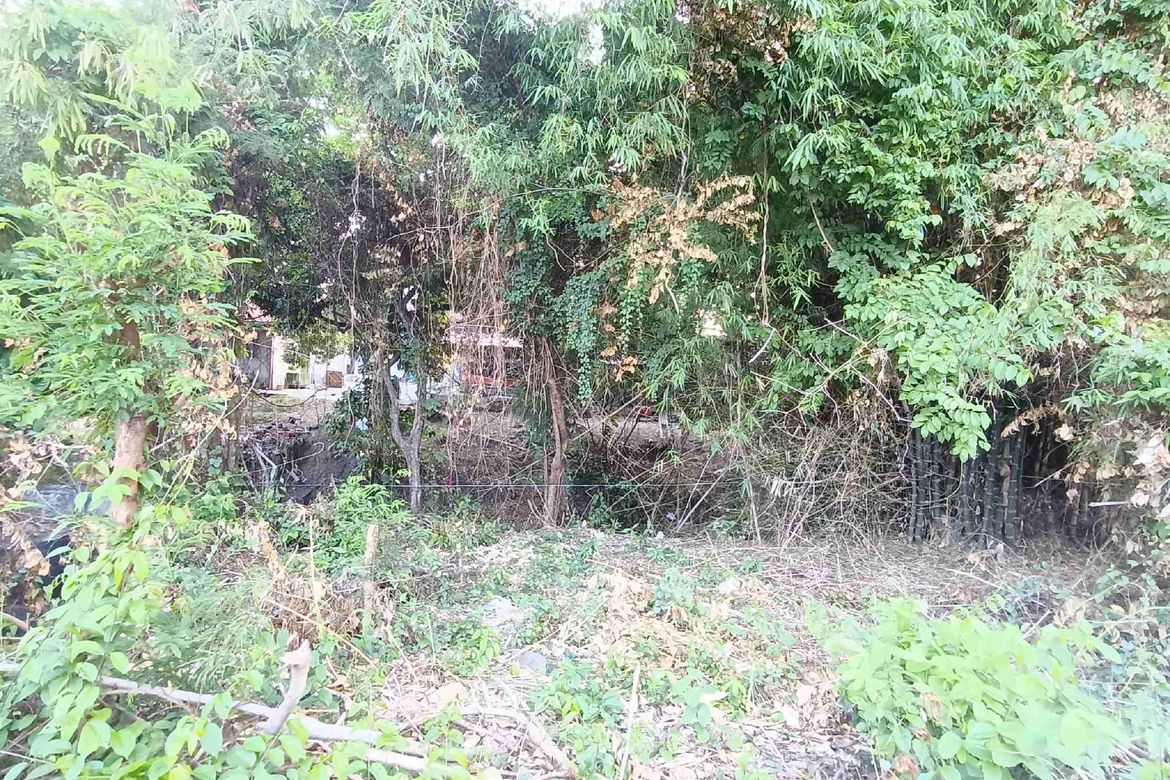 Land for Sale in Navarro, General Trias, Cavite – photo 5