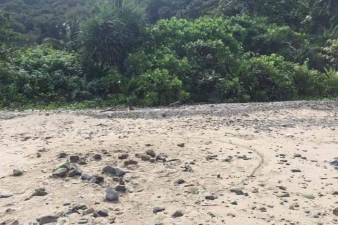 Land for Sale in Nazareth, Buruanga, Aklan – photo 3