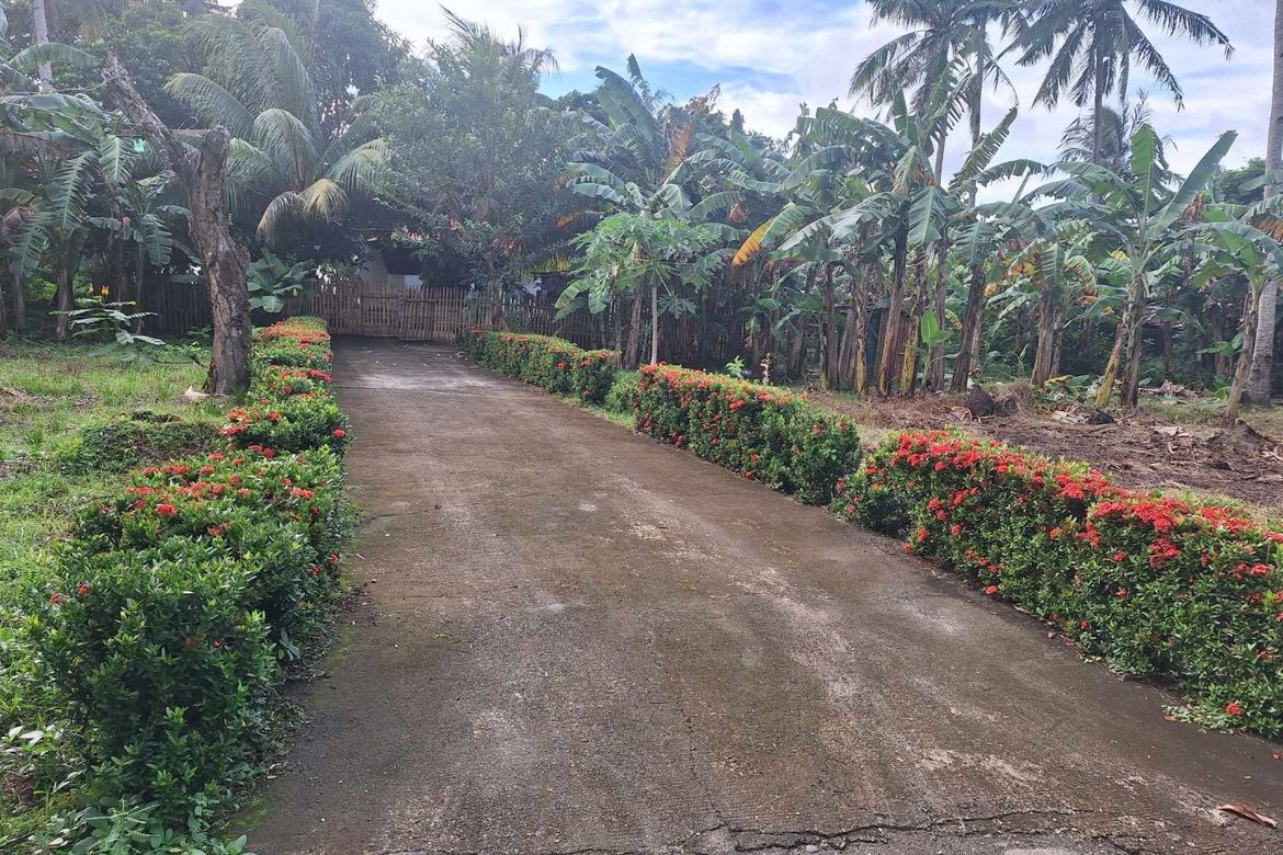 Land for Sale in Nazareth, Buruanga, Aklan – photo 2