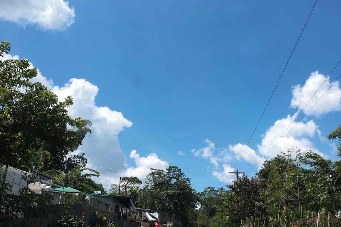 Land for Sale in Nazareth, General Tinio, Nueva Ecija – photo 2