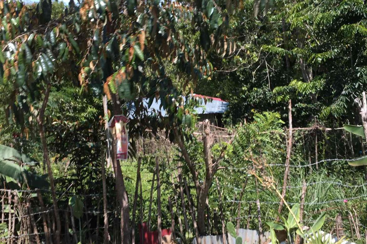 Land for Sale in Nazareth, General Tinio, Nueva Ecija – photo 5
