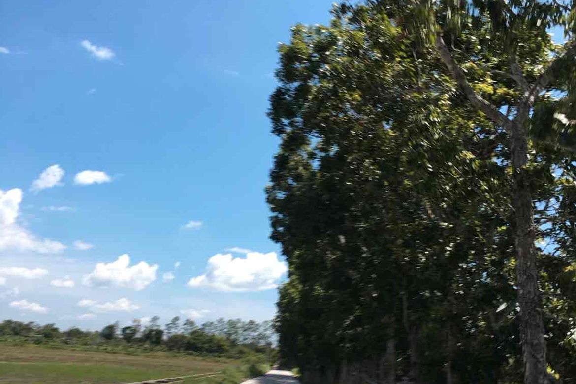 Land for Sale in Nazareth, General Tinio, Nueva Ecija – photo 7
