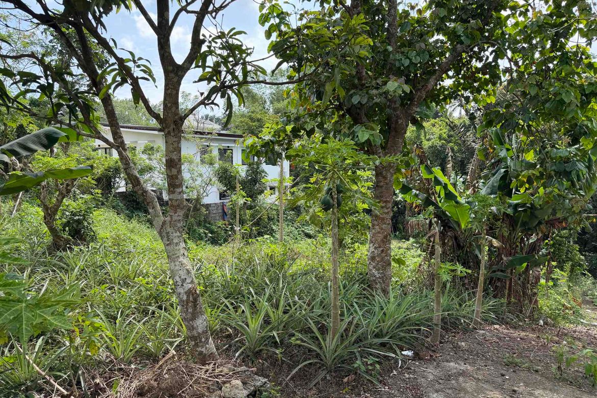 Land for Sale in Neogan, Tagaytay, Cavite – photo 4