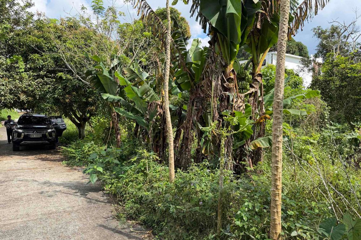 Land for Sale in Neogan, Tagaytay, Cavite – photo 7