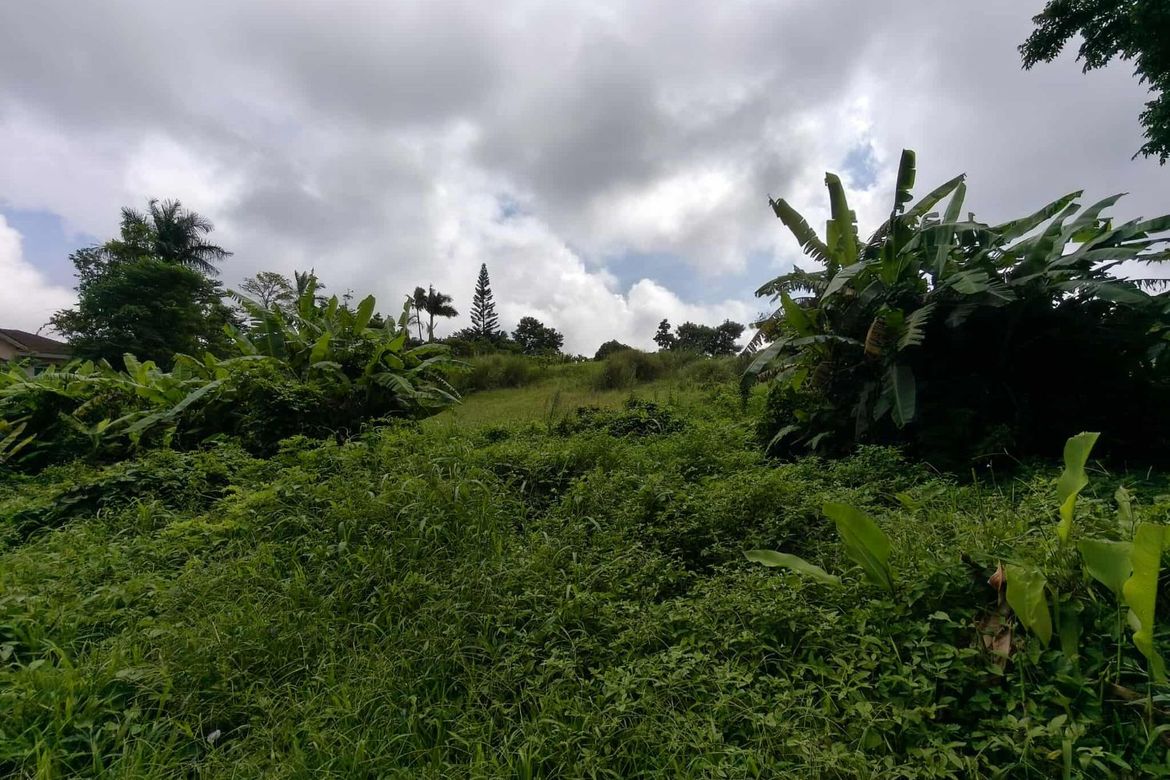 Land for Sale in Neogan, Tagaytay, Cavite – photo 5