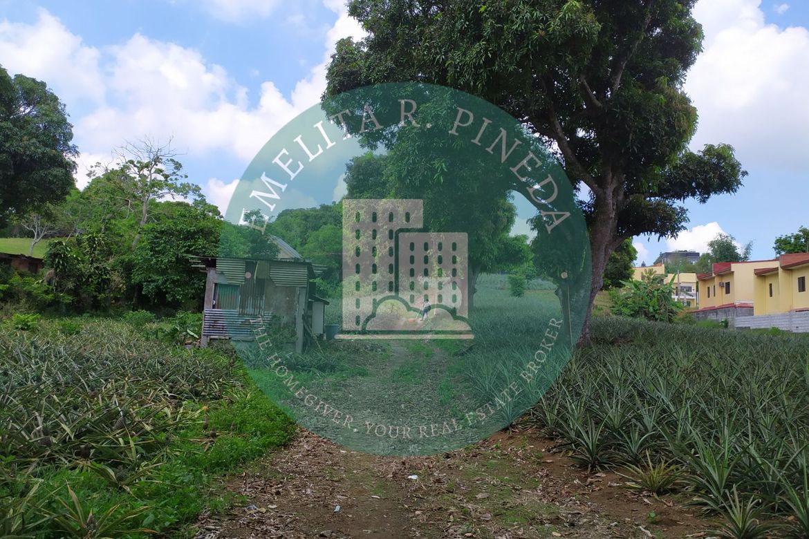Land for Sale in Neogan, Tagaytay, Cavite