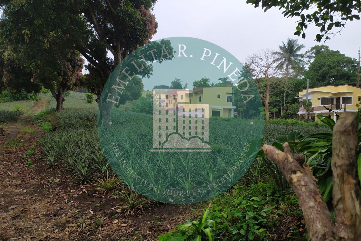 Land for Sale in Neogan, Tagaytay, Cavite – photo 3