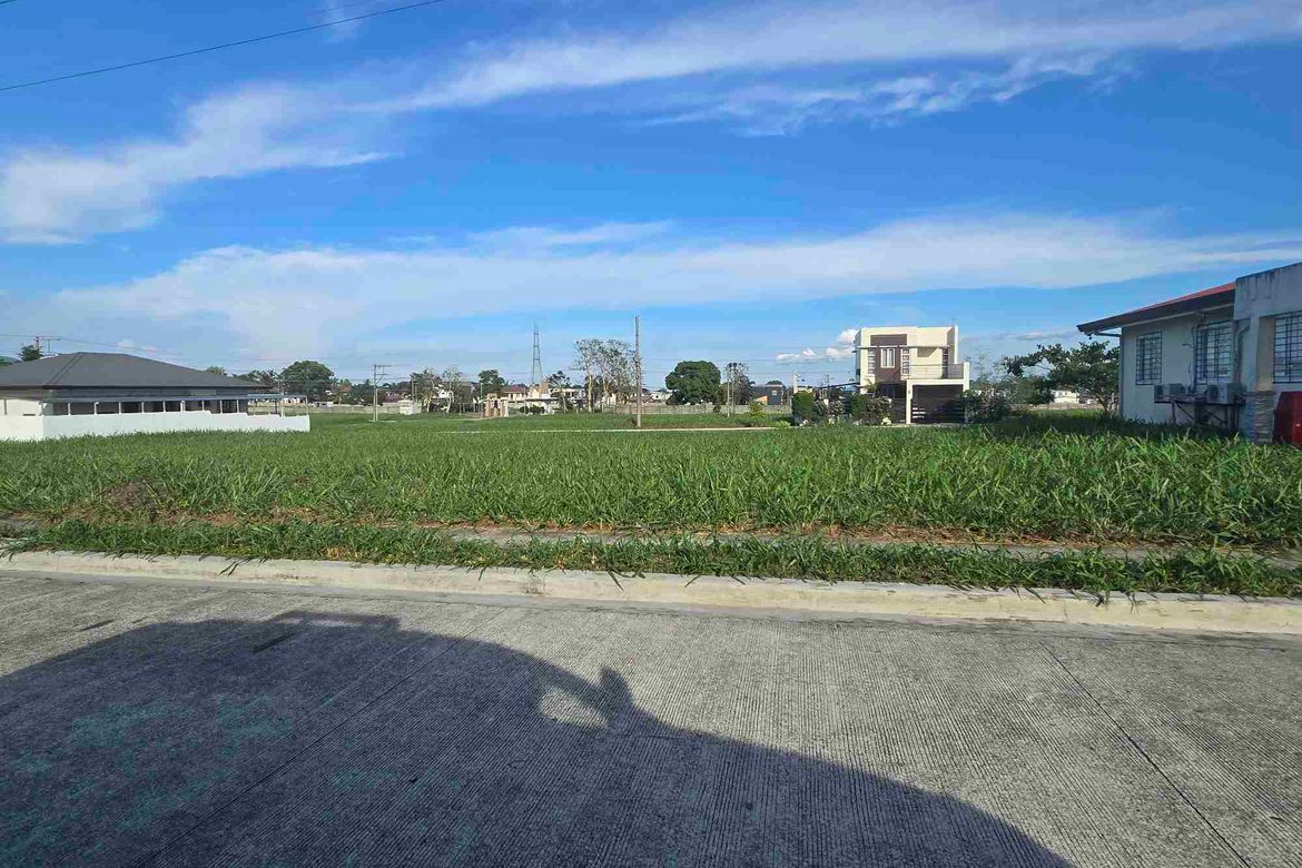 Land for Sale in Neviare by Calmar Land, Antipolo del Norte, Lipa, Batangas – photo 2