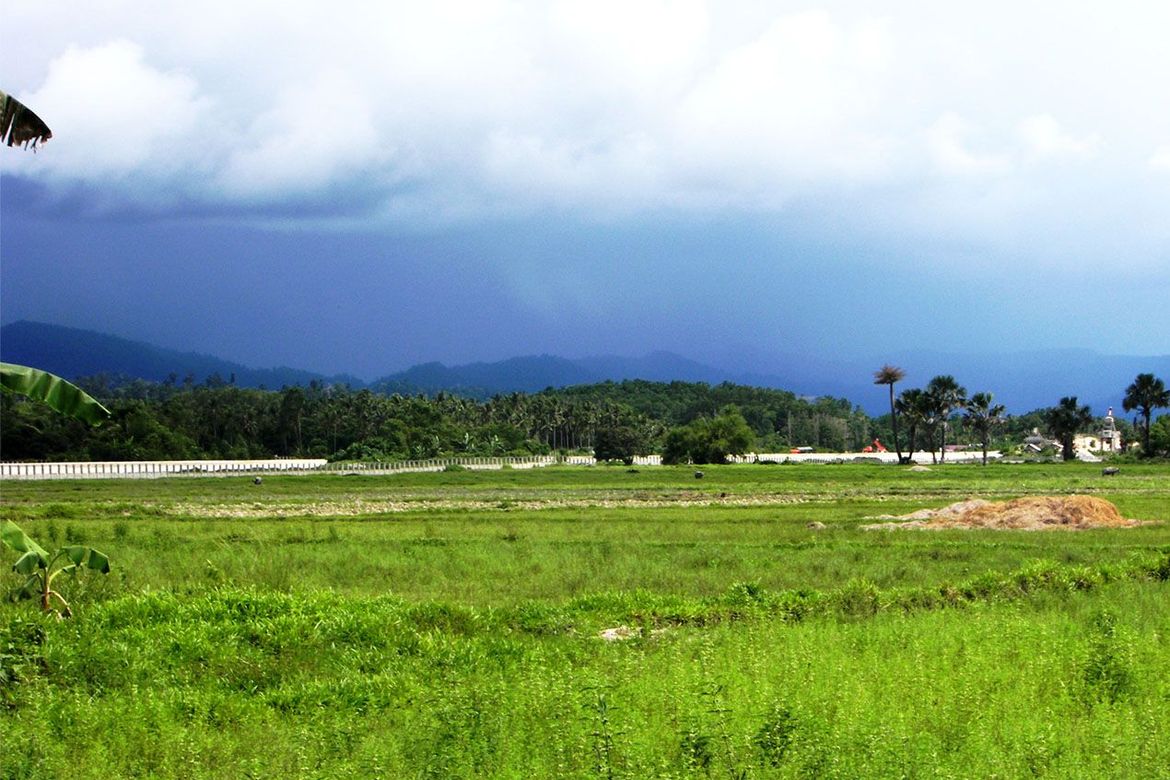 Land for Sale in New Agutaya, San Vicente, Palawan – photo 4