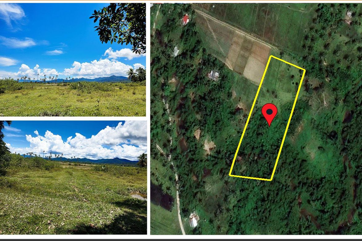 Land for Sale in New Agutaya, San Vicente, Palawan