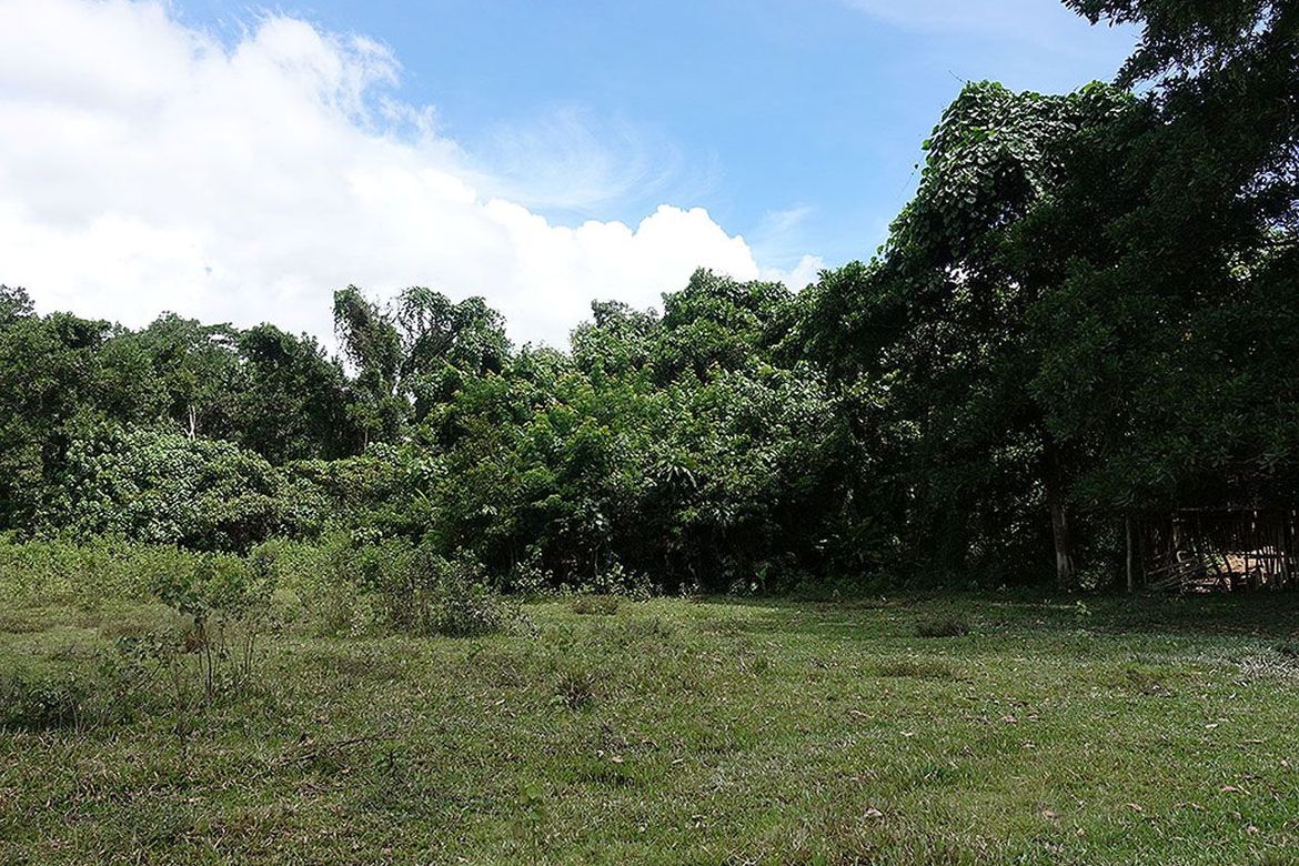 Land for Sale in New Agutaya, San Vicente, Palawan – photo 5