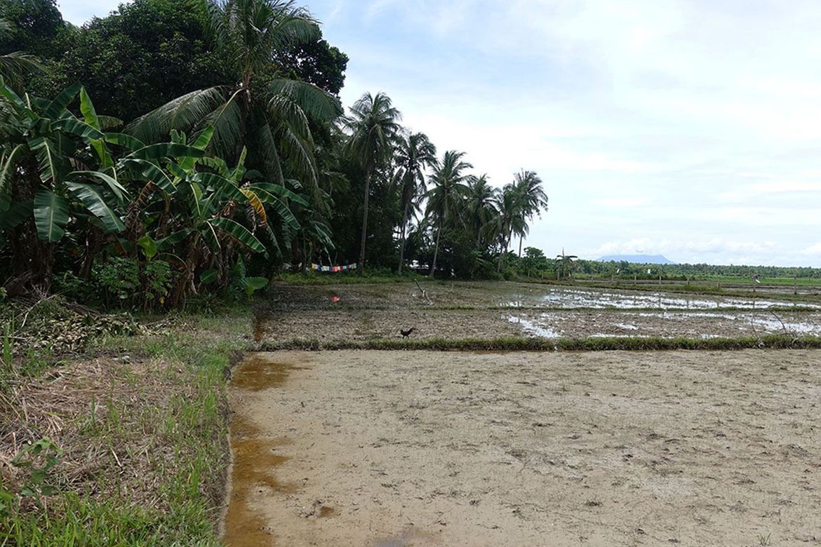 Land for Sale in New Agutaya, San Vicente, Palawan – photo 6