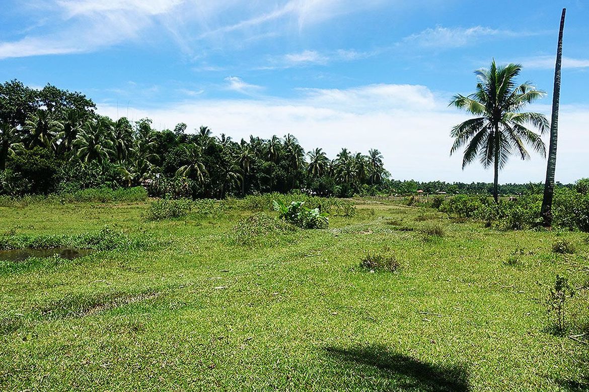 Land for Sale in New Agutaya, San Vicente, Palawan – photo 8