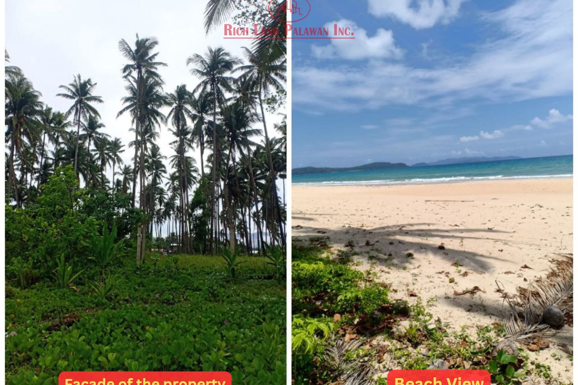 Land for Sale in New Agutaya, San Vicente, Palawan – photo 3