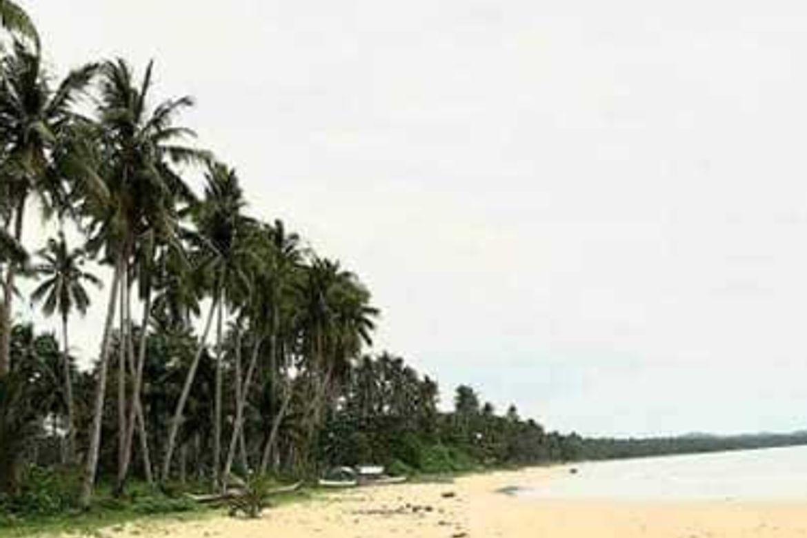 Land for Sale in New Agutaya, San Vicente, Palawan