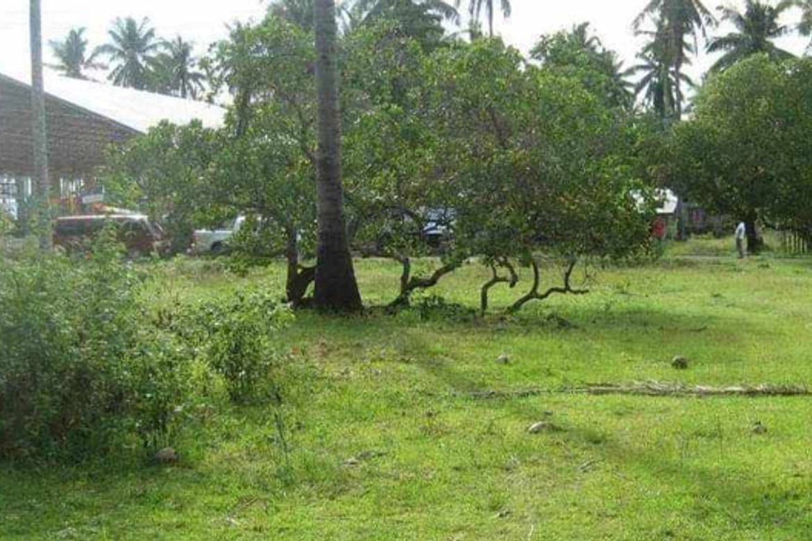 Land for Sale in New Agutaya, San Vicente, Palawan – photo 3