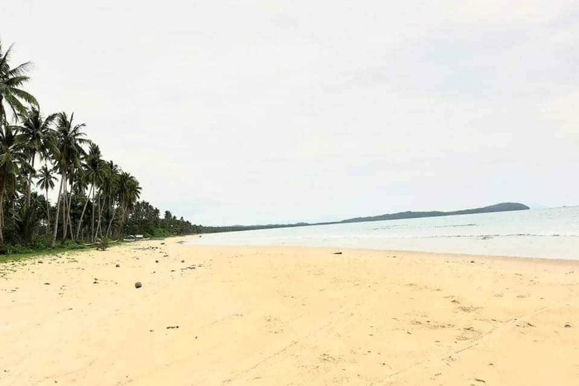 Land for Sale in New Agutaya, San Vicente, Palawan – photo 4