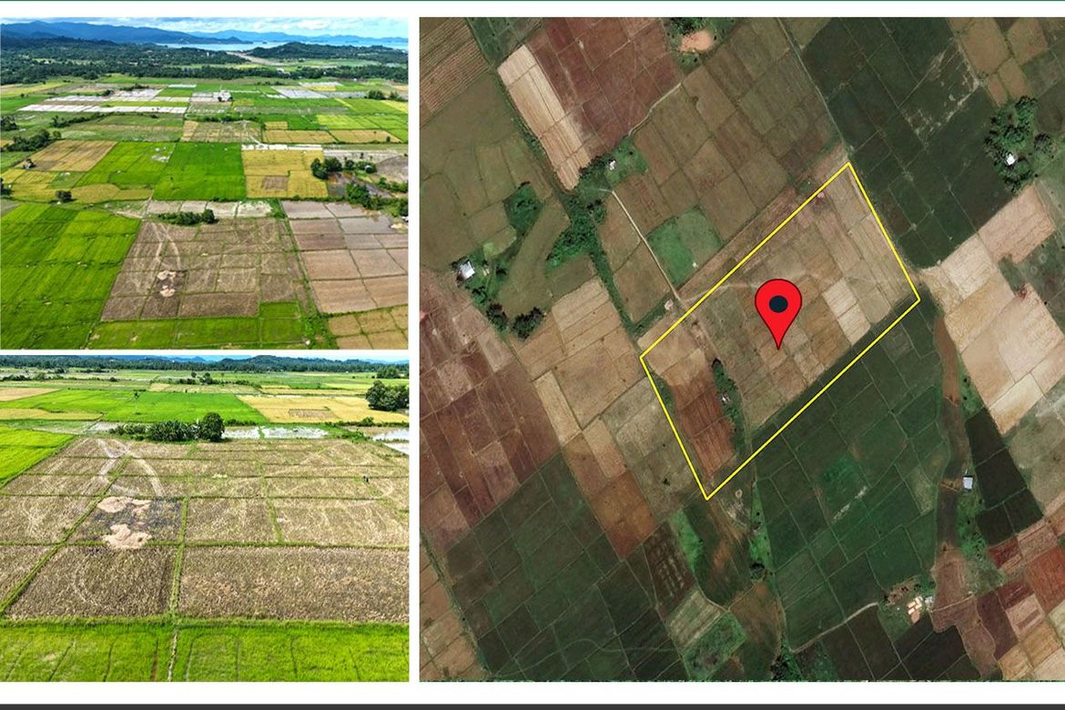 Land for Sale in New Agutaya, San Vicente, Palawan