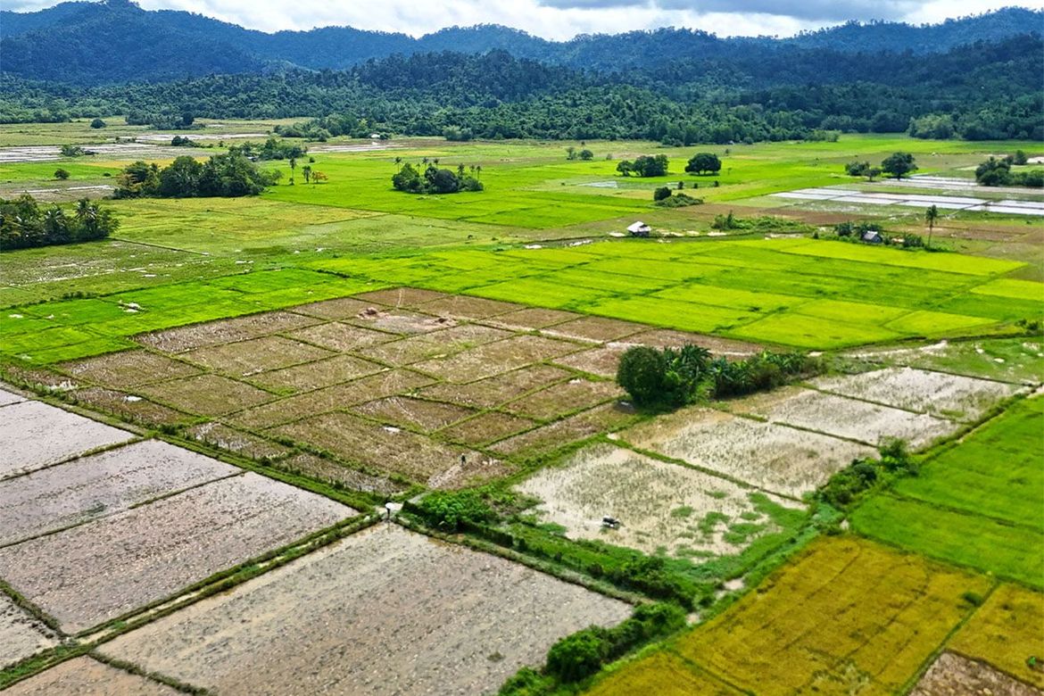 Land for Sale in New Agutaya, San Vicente, Palawan – photo 5