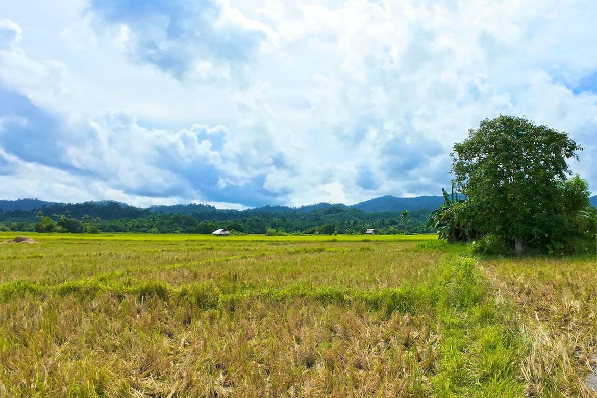 Land for Sale in New Agutaya, San Vicente, Palawan – photo 8