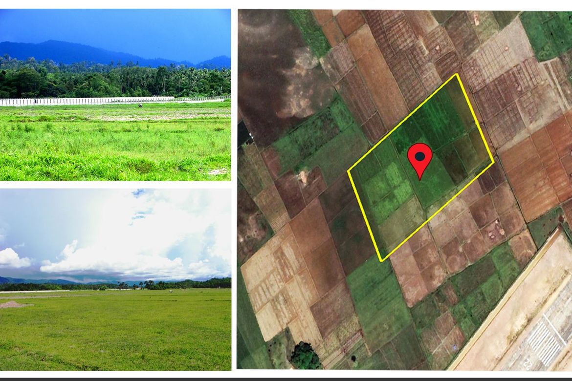 Land for Sale in New Agutaya, San Vicente, Palawan