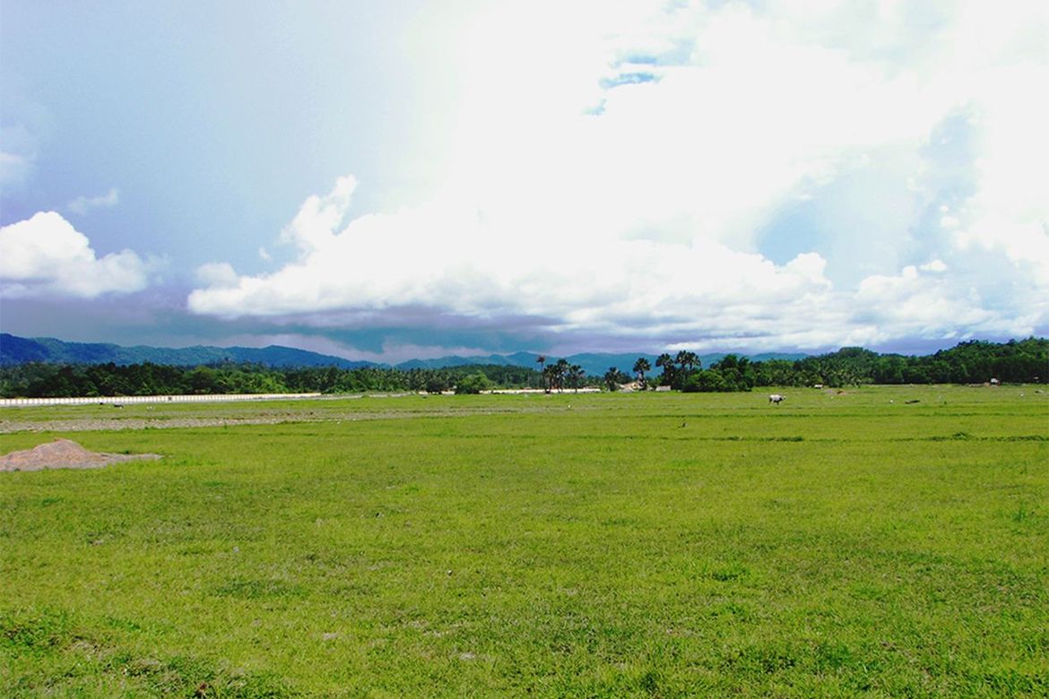 Land for Sale in New Agutaya, San Vicente, Palawan – photo 3
