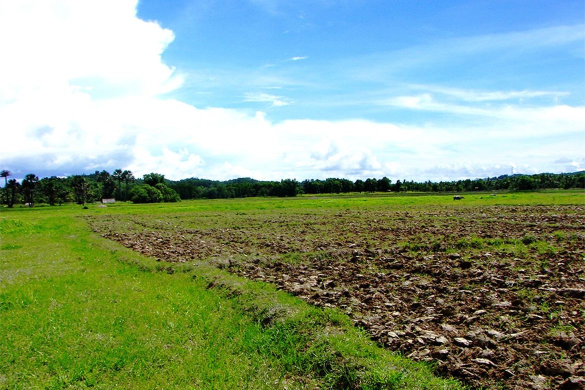 Land for Sale in New Agutaya, San Vicente, Palawan – photo 4