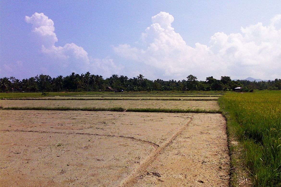 Land for Sale in New Agutaya, San Vicente, Palawan – photo 6