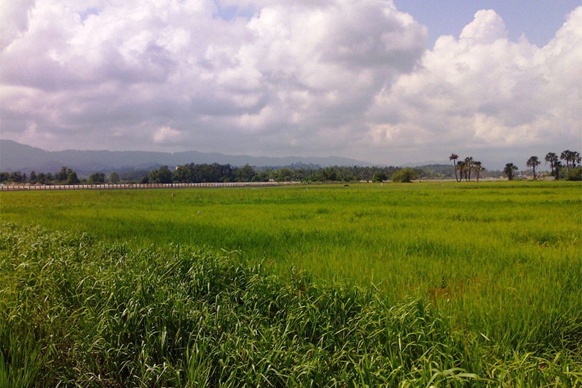 Land for Sale in New Agutaya, San Vicente, Palawan – photo 8