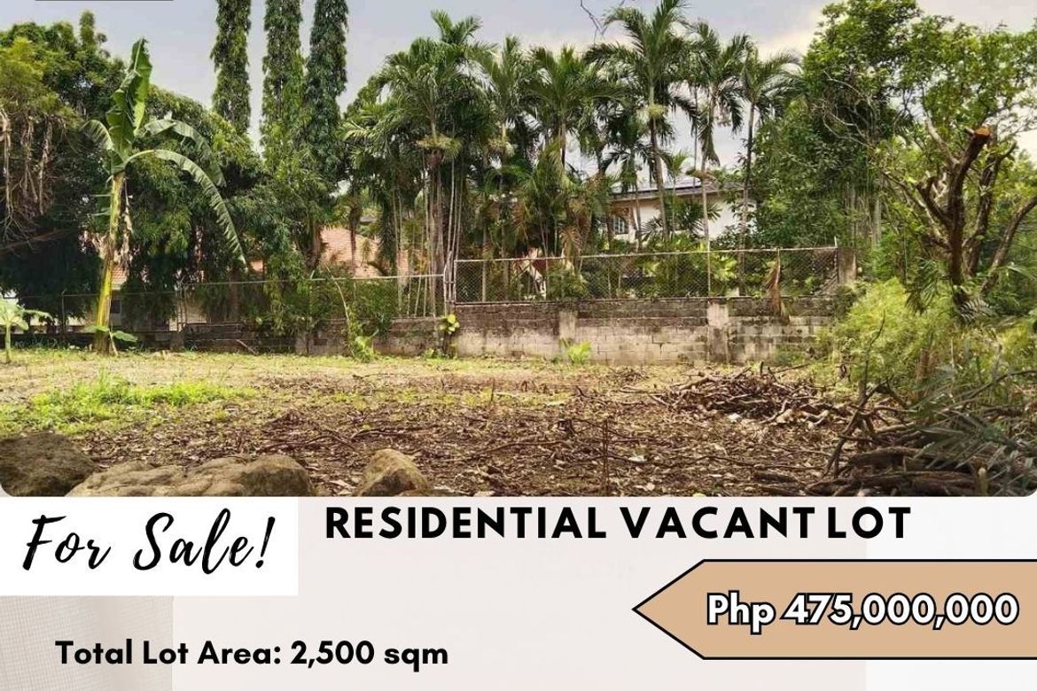 Land for Sale in New Alabang Village, Muntinlupa, Metro Manila