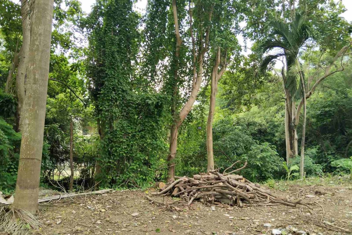 Land for Sale in New Alabang Village, Muntinlupa, Metro Manila – photo 2