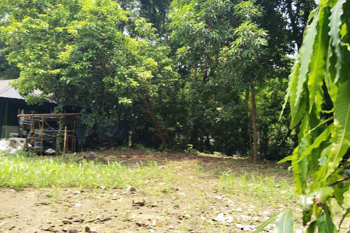 Land for Sale in New Alabang Village, Muntinlupa, Metro Manila – photo 4
